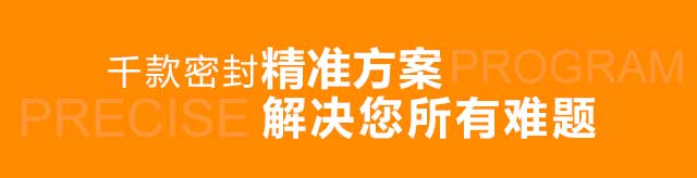 千款密封精准方案 解决您所有难题